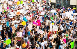 Aerial view of a crowd marching holding placards.